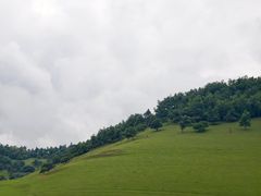 -关山草原