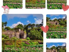 -广州莲花山旅游区