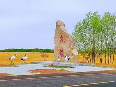 -黑龙江扎龙生态旅游区