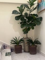 -海涛医疗美容·面部抗衰·注射美鼻