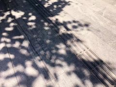 -石家庄市植物园