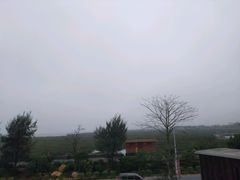 -北海金海湾红树林生态旅游区