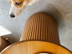 -KYO COFFEE(胶州路店)