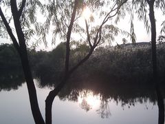 -新江湾城公园