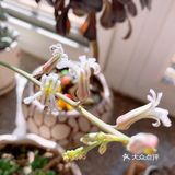 生就生了吧！听我把话说完了成不成…