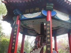 -微山湖红荷湿地景区