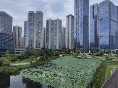 -梅溪湖城市岛