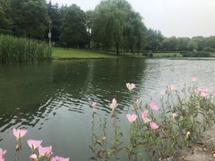 -东方绿舟景区