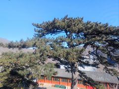 -妙峰山风景名胜区
