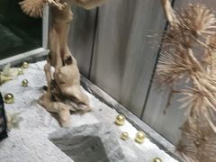 -奇门密室(五一新干线店)