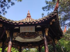 -峙山公园