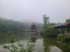 -岳麓山风景名胜区