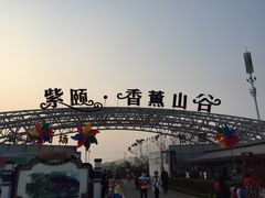 -紫颐香薰山谷景区