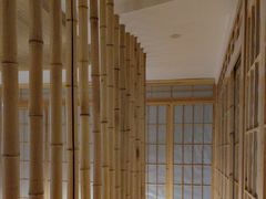 -老成都·古法采耳·禅洗头疗(四川总店)