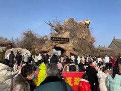 -大槐树寻根祭祖园