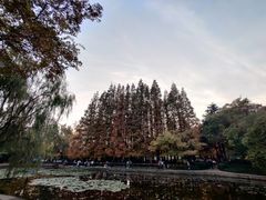 -八大关景区