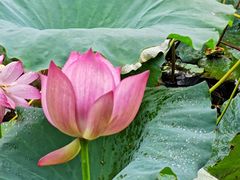 -军山湖云水间生态农业旅游景区