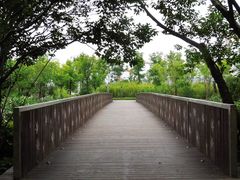 -南翔镇银翔湖公园