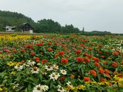 -富田农场