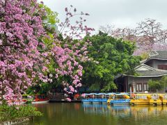 -柳侯公园