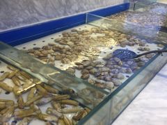 水产区-川骄海鲜自助(河东店)