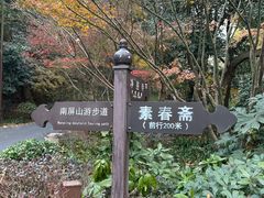 -九曜山