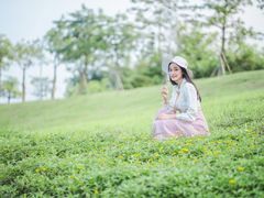 -百万葵园