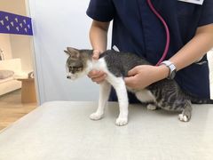 -拜鲁耶动物诊疗中心·宠家动物医院