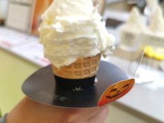 -野人先生现做冰淇淋(北京悠唐购物中心店)