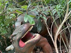 -呀路古热带植物园