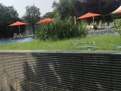 -上海佘山世茂艾美酒店