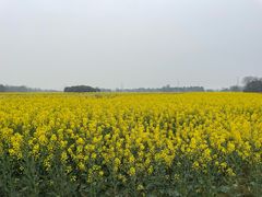 -中国天府农业博览园