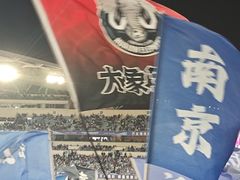 -南京奥林匹克体育中心-体育馆