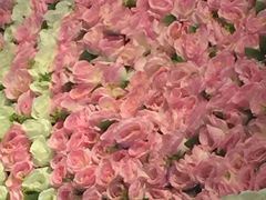 -重庆雨台山风景区