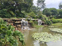 -东莞植物园