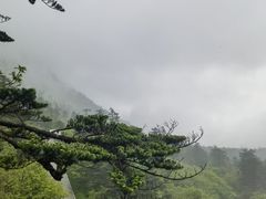 -峨眉山风景名胜区
