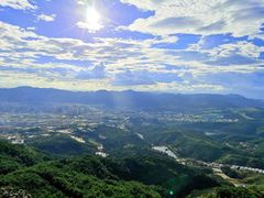 -长虫山生态公园风景林
