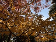 -苏州大学(天赐庄校区)