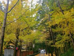 -金堂县云顶石城风景区