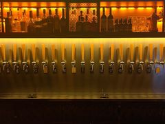 -麦落精酿啤酒餐吧(先农大院店)
