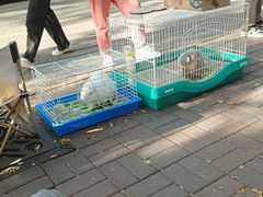 -大象厨房(重庆道店)