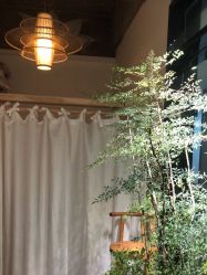 -Y+U遇瑜伽·普拉提