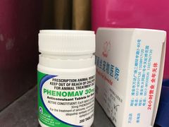 以后要长期服用的抗癫痫药物-菲丽丝宠物医院·24小时·猫科中心·免疫点(淮海分院)