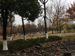 -白塘生态植物园