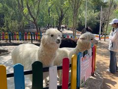 -竹泉村旅游度假区