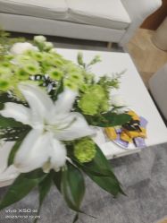 -HEYAN长风荷妍专业脱毛美肤

