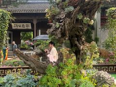 -惠山古镇·寄畅园