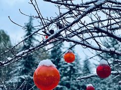 -唐城墙遗址公园