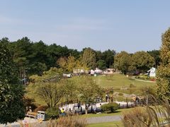 -铁山坪森林公园