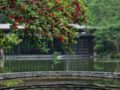 -云溪植物园